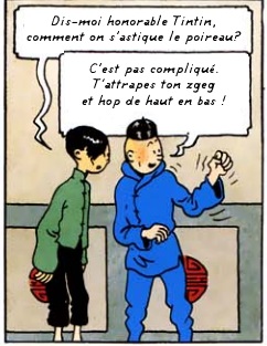 tintin.jpg
