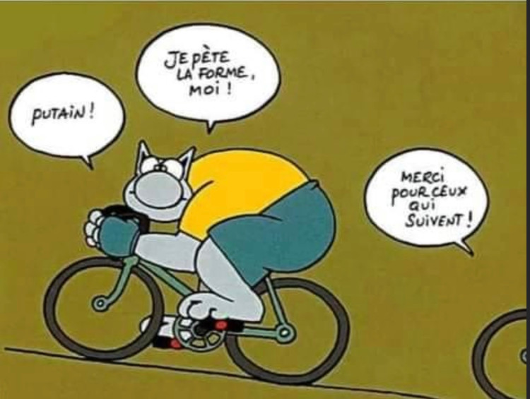 le chat 04__r27o18.jpg