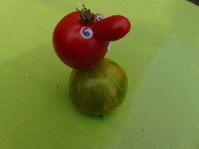 tomate bdgest 1.JPG