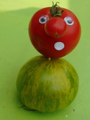 Tomate bdgest 3.jpg