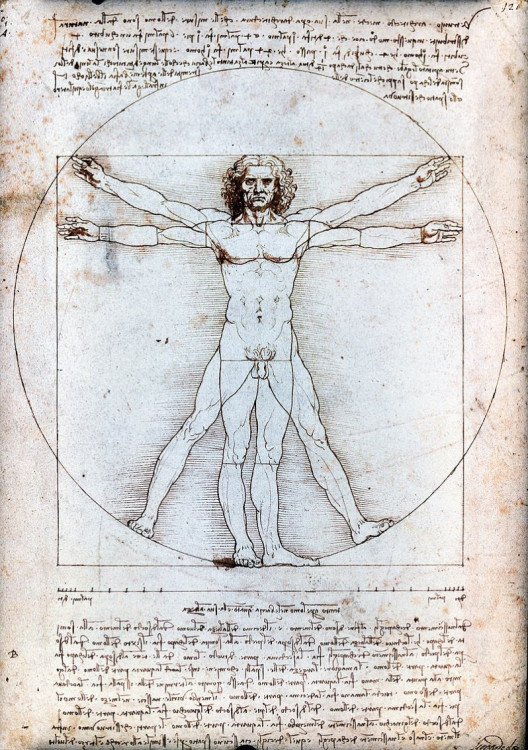 Léonard de Vinci - L'Homme de Vitruve.jpg