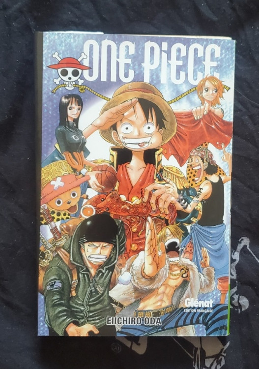 one piece inconnu 1.jpg