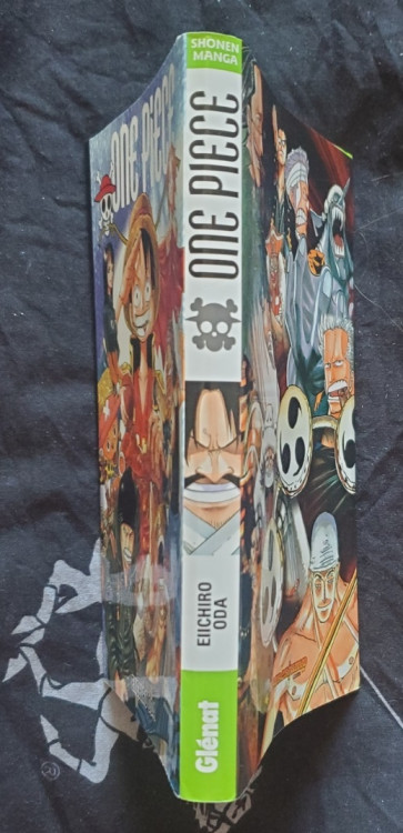 one piece inconnu 2.jpg