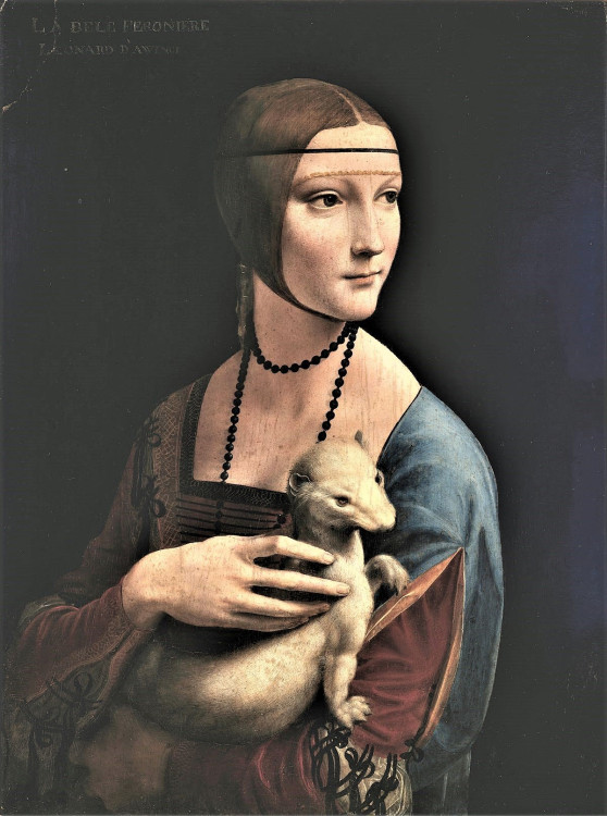 Léonard de Vinci - La Dame à l'hermine (original).jpg