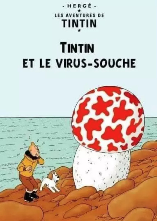 tintin.jpg