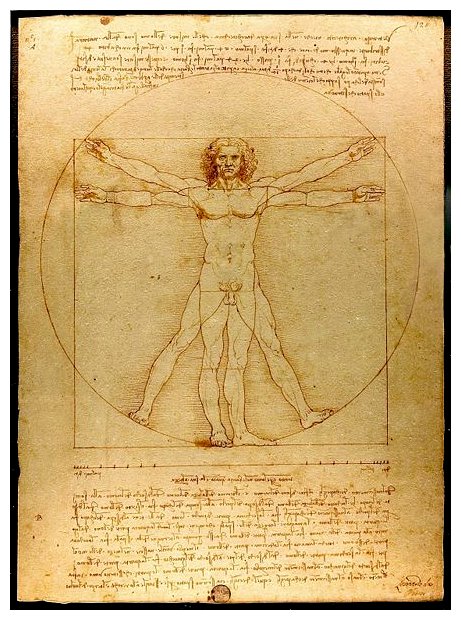 01 Léonard de Vinci - L'Homme de Vitruve.jpg