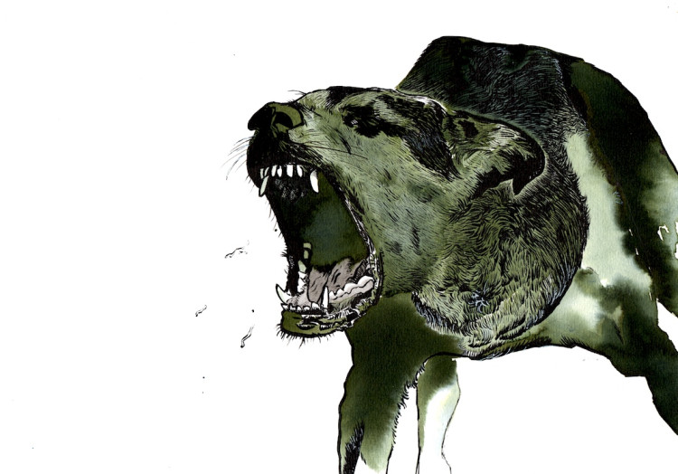 BadDog.jpg