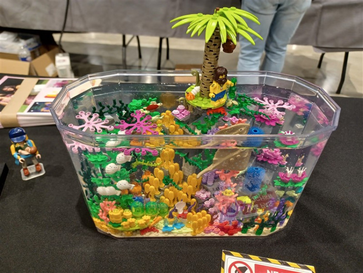 raythecastaway (800 x 600).jpg