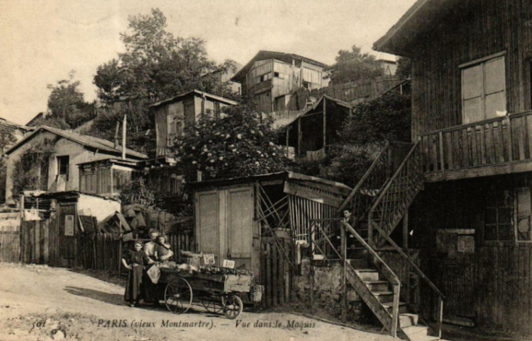 montmartre vue dans maquis.jpg