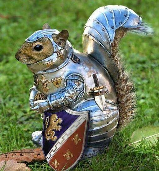 mouse gard.jpg