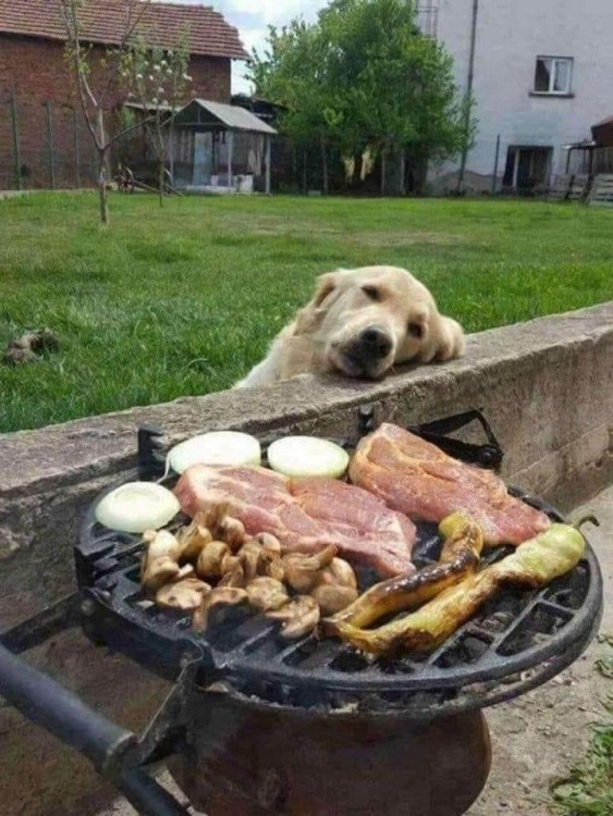 vegan.jpg