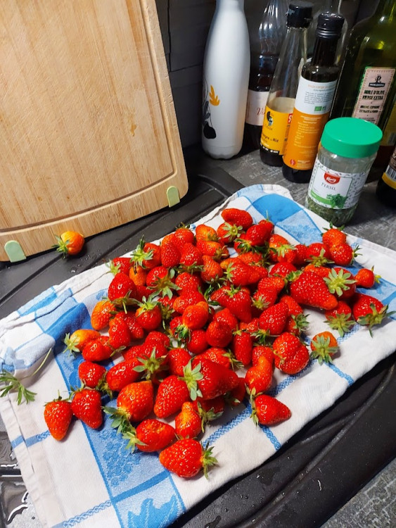 fraises.jpg