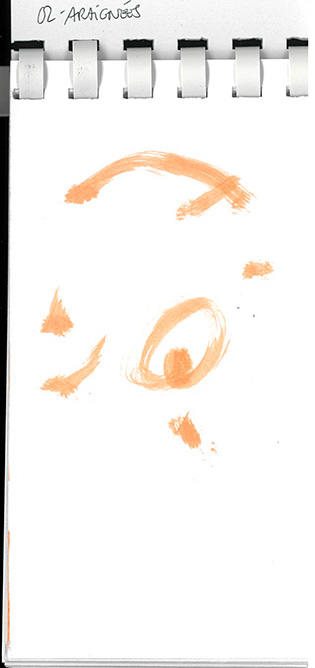 inkto2023_02araignees.jpg