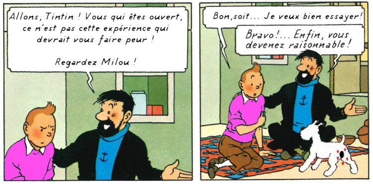 Tintin4.jpg
