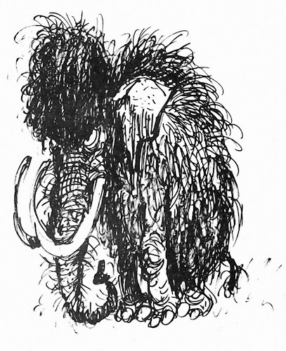 mambrouillon.jpg