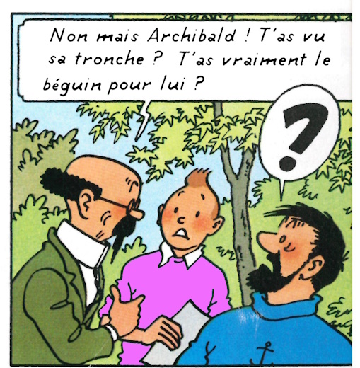 tintin5.jpg