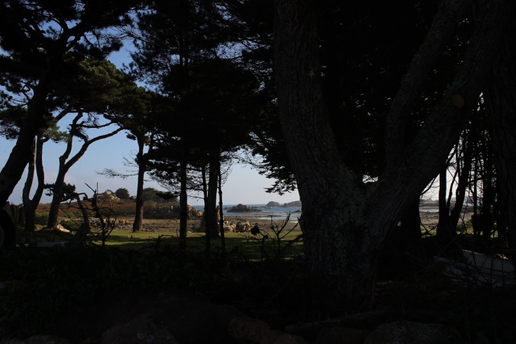 contre jour 1.jpg