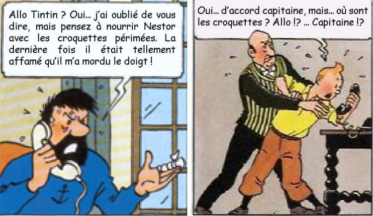 croquettes.jpg