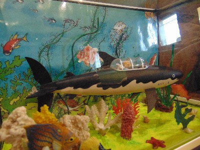 requin03bdg.jpg