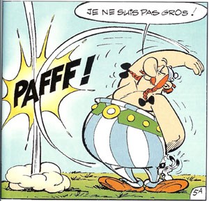 obelix[1].jpg