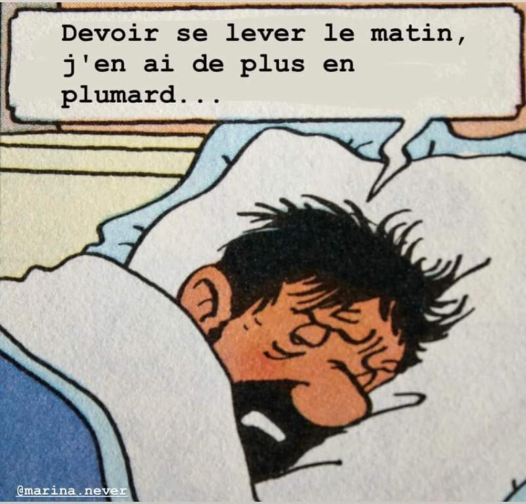 plumard.jpg