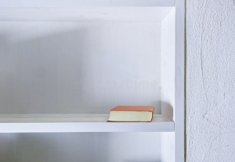 single-book-white-shelf-wall-172927345.jpg