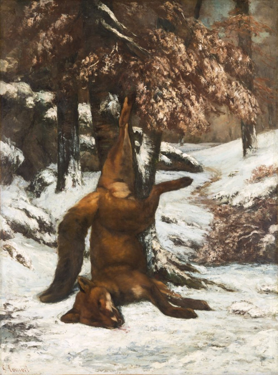 Courbet - Renard mort 1864 (Stockholm)..jpg