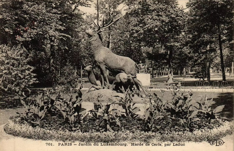 Luxembourg - Harde de Cerfs A.jpg