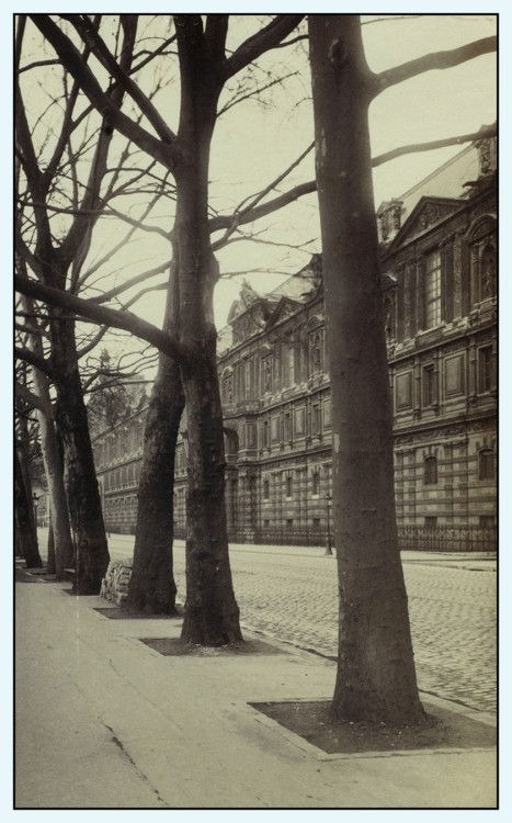 Atget - Quai du Louvre porte aux Lions (case).jpg