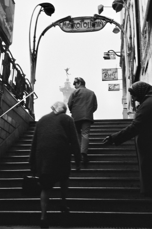 file-2.jpg