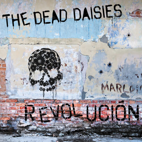 DeadDaisies.jpg