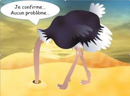 Politique de l'autruche.jpg