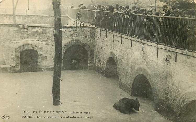 Paris crue 1910 ours martin.jpg