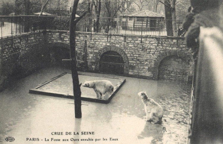 Paris crue 1910 fosse aux ours.jpg