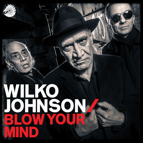 wilko.jpg