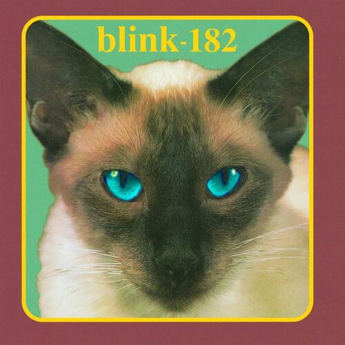 blink.jpg