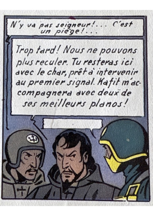 pige .jpg