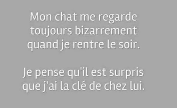 maison du chat.jpg