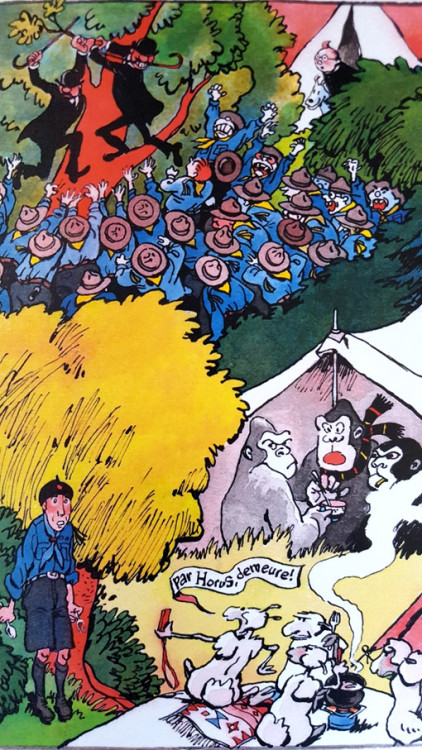 scouts amis d herge 2018.jpg