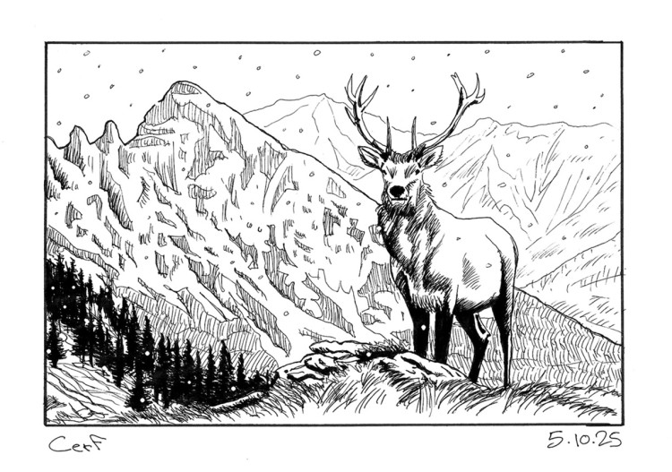 Inktober 05 a.jpg
