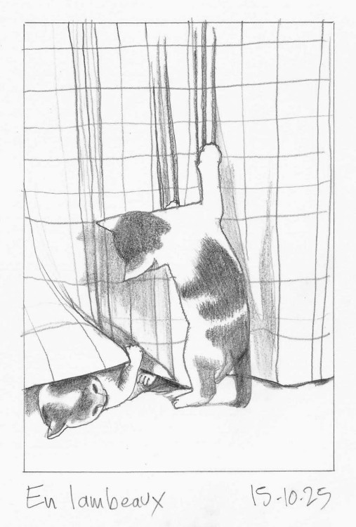 Inktober 15-002.jpg