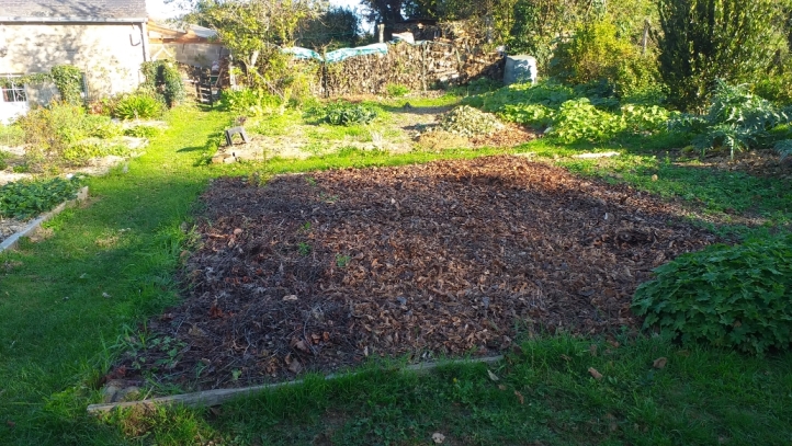 feuilles paillage F.jpg