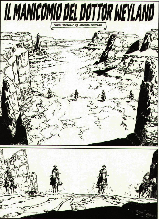 planche cestaro.jpg