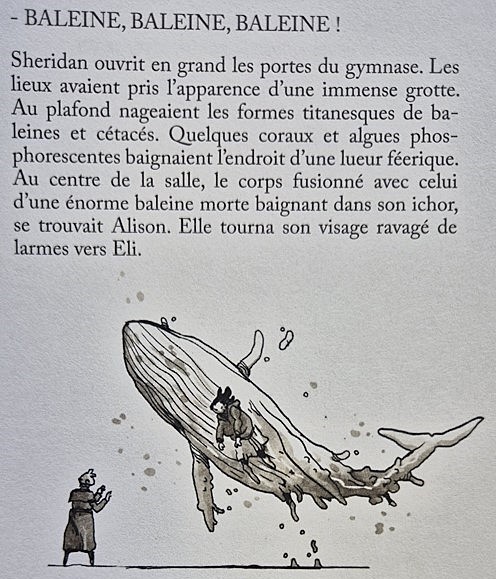 Baleine The Midnight Order petit2.jpg