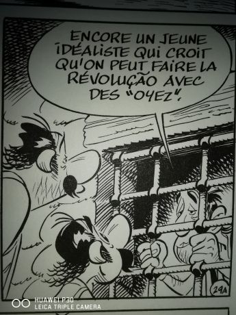 Revolution des oeuillets 1.jpg