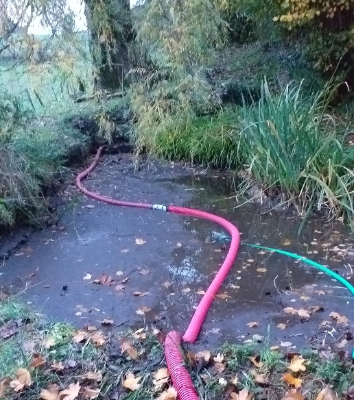 petite mare vide F.jpg