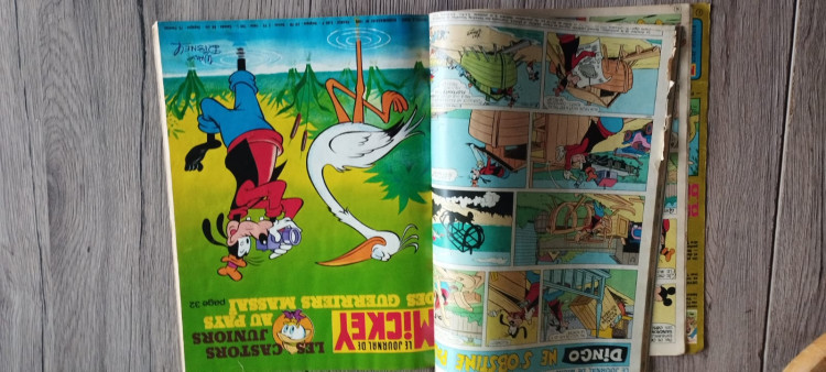 WhatsApp Image 2025-11-09 à 12.02.29_956e8e57.jpg