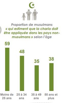 Rapport Ifop 13 novembre 2025.JPG