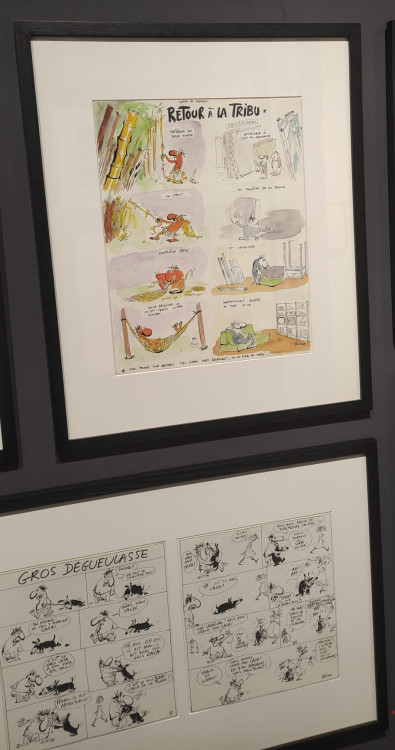 WhatsApp Image 2026-01-29 at 13.39.04 (4).jpeg