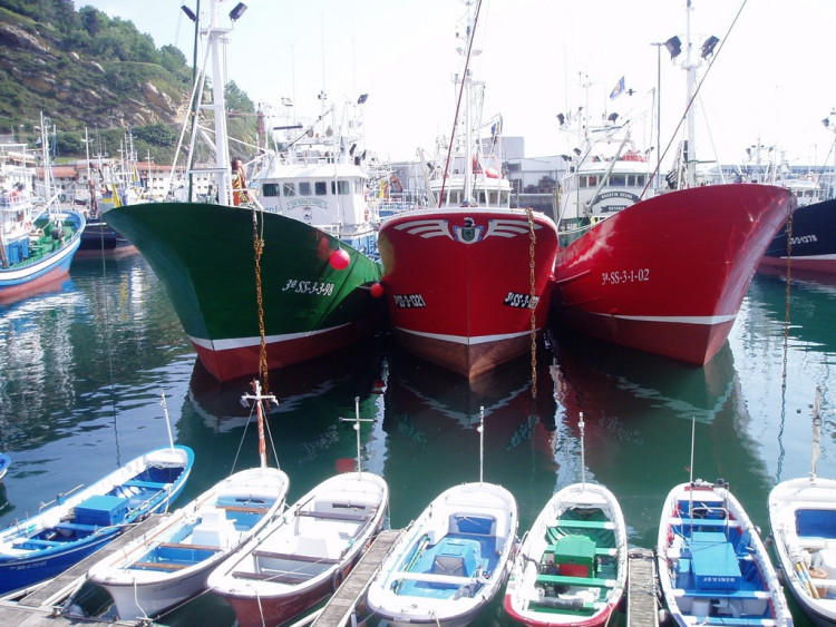 P6290023 Guetaria 4.jpg